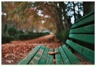 Фотография Fax Georgi