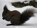Міша Юріна фотография #4 (источник - https://vk.com/id70576909)