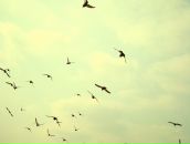 Фотография Аваляна Севана