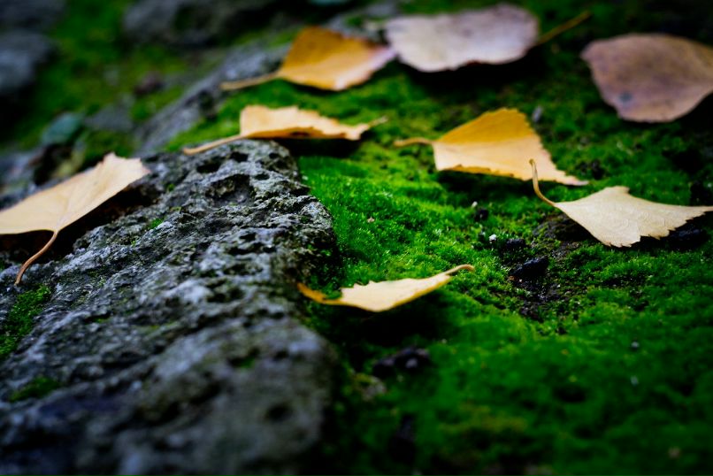 Антон Девяткин фотография #32