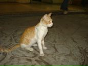 Фотография Рыбкина Яна