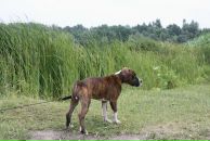 Кирилл Митяев фотография #22 (источник - https://vk.com/id6828811)