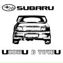 Фотография Шишкина Лёши