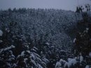 Андрій Скородинський фотография #25 (источник - https://vk.com/id63112707)