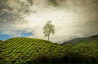 Олексій Гапонідзе фотография #26 (источник - https://vk.com/id20295178)