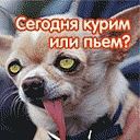 Валік Шамук фотография #7 (источник - https://vk.com/id92076626)