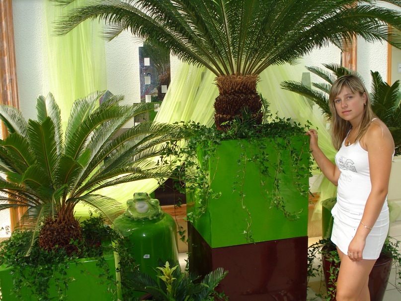 Олександра Мищишина фотография #34