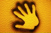 Фотография Гладкова Валерия