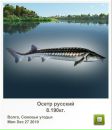 Ігор Крупела фотография #4 (источник - https://vk.com/id83319063)