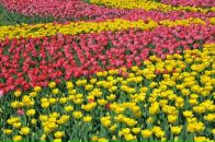 Фотография Зайцева Андрея