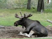 Рома Силаков фотография #11 (источник - https://vk.com/id462288)