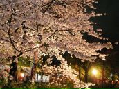 Фотография Ахмедова Ильгарки