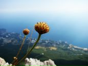 Євген Перерва фотография #17 (источник - https://vk.com/id28424331)