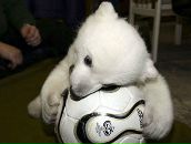 Фотография Федорчука Юрия