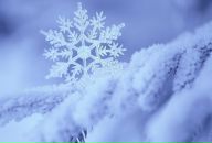 Вікторія Турчин фотография #32 (источник - https://vk.com/id10522888)