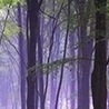Віола Кравчук фотография #34 (источник - https://vk.com/id150959655)