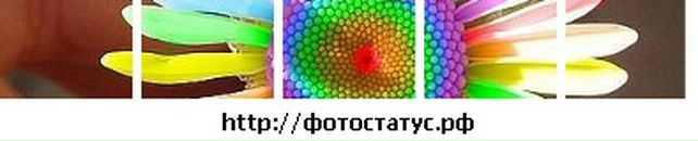 Аліна Чук фотография #24 (источник - https://vk.com/id132706248)