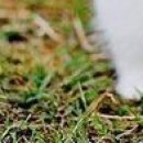 Юля Матвійчук фотография #30 (источник - https://vk.com/id135907201)