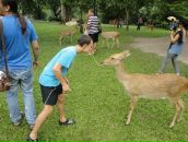 Фотография Калашникова Дарья