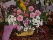 Юлія Юзич фотография #30 (источник - https://vk.com/id124111587)