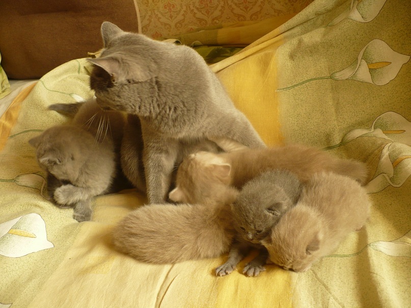Оля Рунец фотография #19