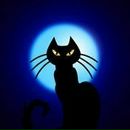 Фотография Галец Веры