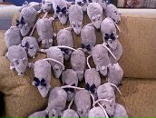 Фотография Вакальчук Екатерины