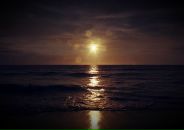 Natalya Davydova фотография #39 (источник - https://vk.com/id47499995)