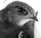 Фотография Стрижевской Светланы