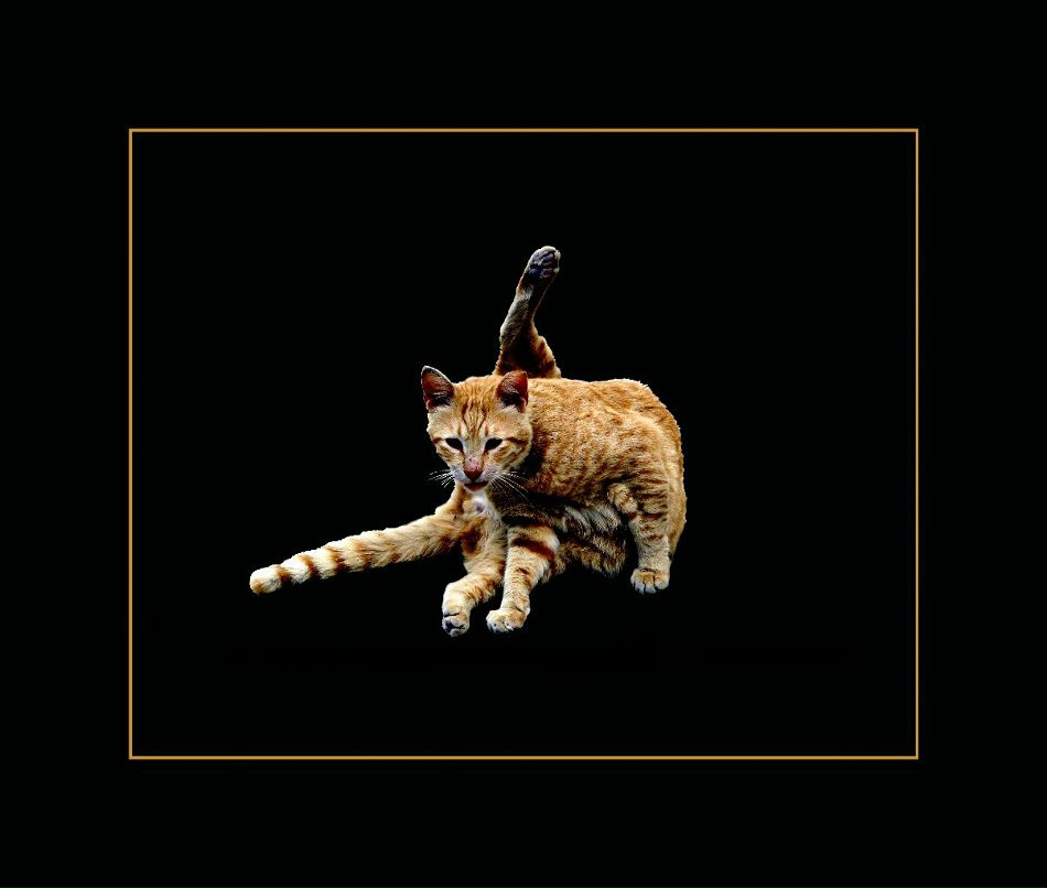 Mark Maisner фотография #50