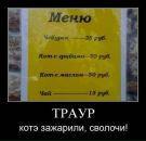 Константин Кудин фотография #47 (источник - https://vk.com/id108647)