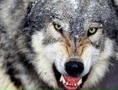 Фотография Конюхова Александра