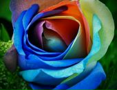 Фотография Байбориной Любови