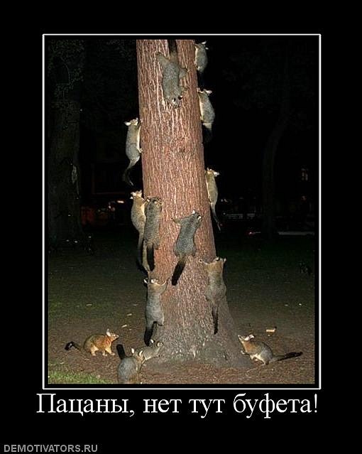 Гера Бартенев фотография #9