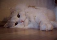 Фотография Крупиной Анастасии