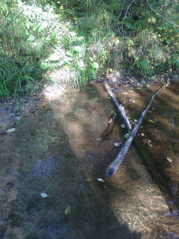 Young Lady фотография #33