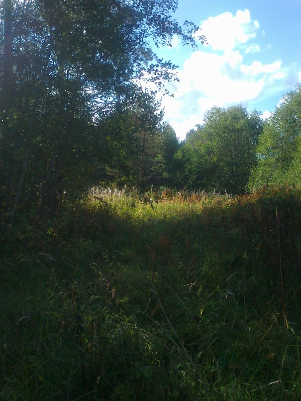 Young Lady фотография #42