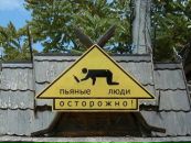 Андрюша Κапустин фотография #40 (источник - https://vk.com/id96231330)