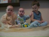 Фотография Боровитиных Семьи