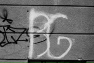 Фотография Медведевой Ксении