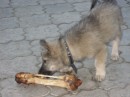 Вовчик Кузьміч фотография #36 (источник - https://vk.com/id64250712)
