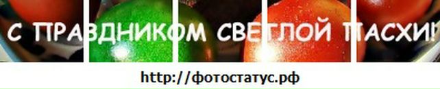 Іра Мамчак фотография #6 (источник - https://vk.com/id71444716)