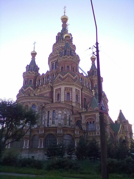 Дмитрий Горбачёв фото №28