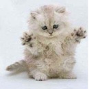 Діана Береза фотография #21 (источник - https://vk.com/id157656163)