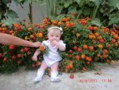 Іва Польова фотография #15 (источник - https://vk.com/id144994618)