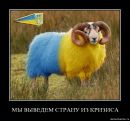 Саня Олійник фотография #5 (источник - https://vk.com/id159669459)