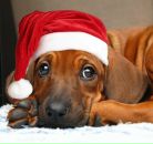 Фотография Полевой Станиславы