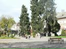 Олександра Помаліна фотография #12 (источник - https://vk.com/id15175207)
