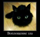 Фотография Парфенова Александра