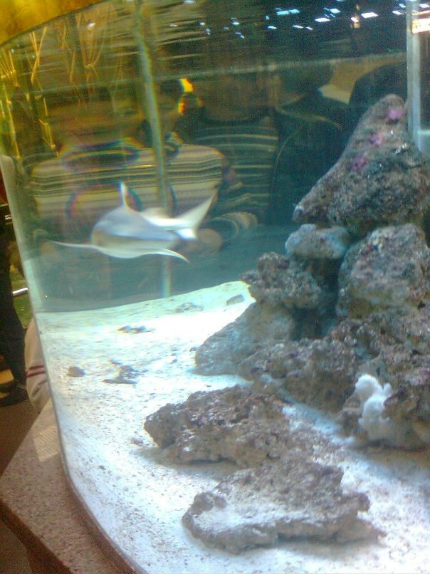 Макс Стяжкин фотография #33